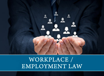 workplace employment lawyers